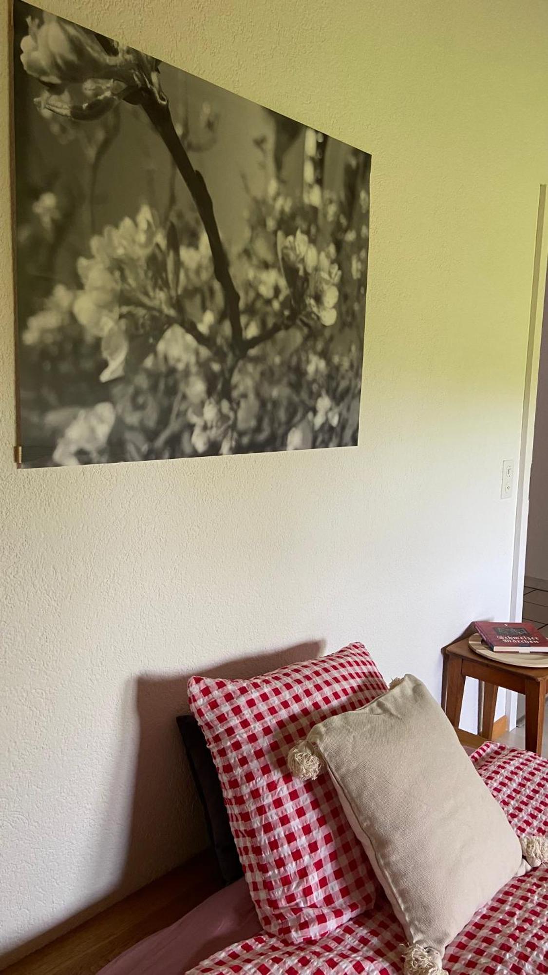 Naturnahe Familienwohnung Ruschegg Extérieur photo