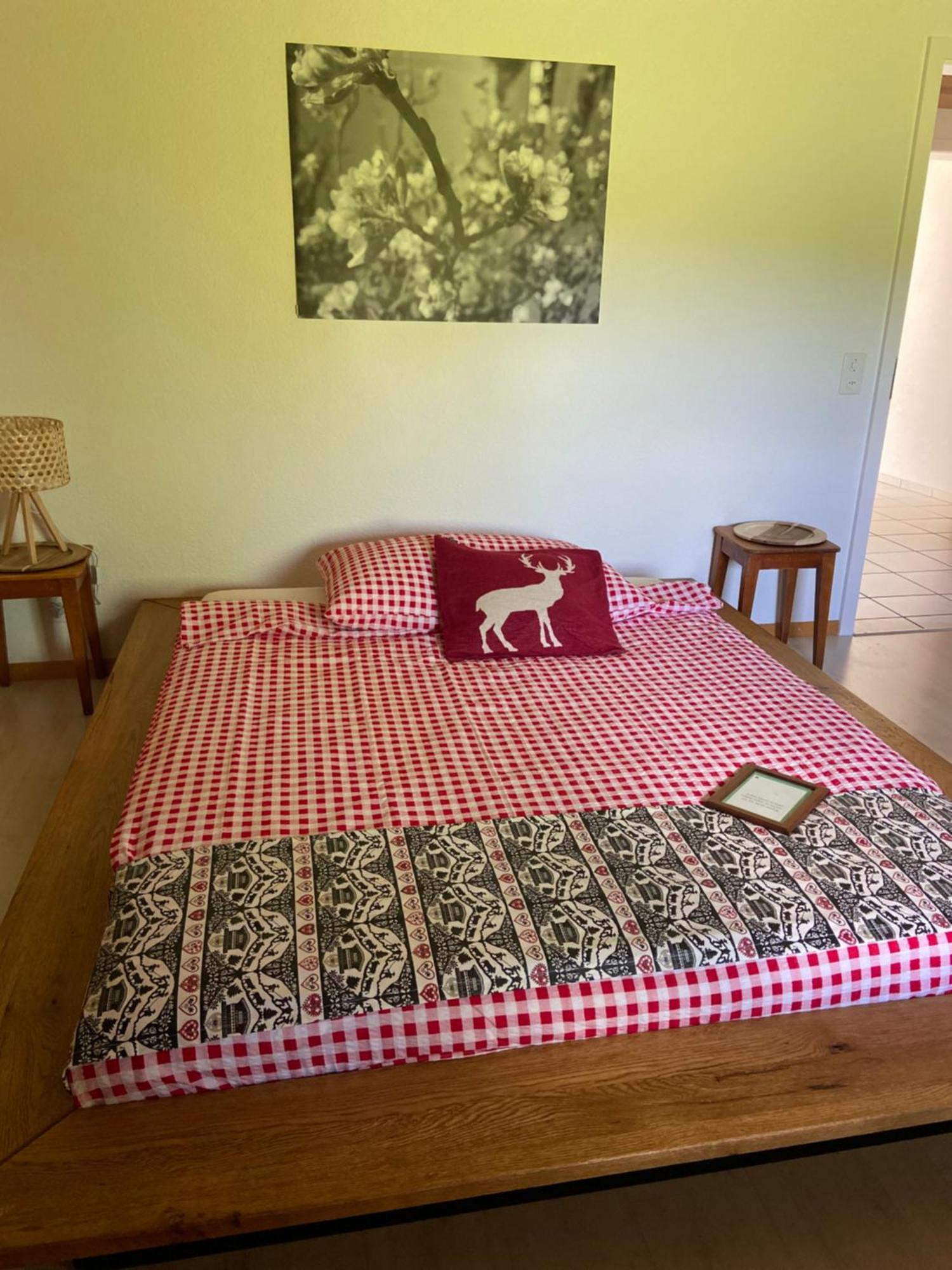 Naturnahe Familienwohnung Ruschegg Extérieur photo