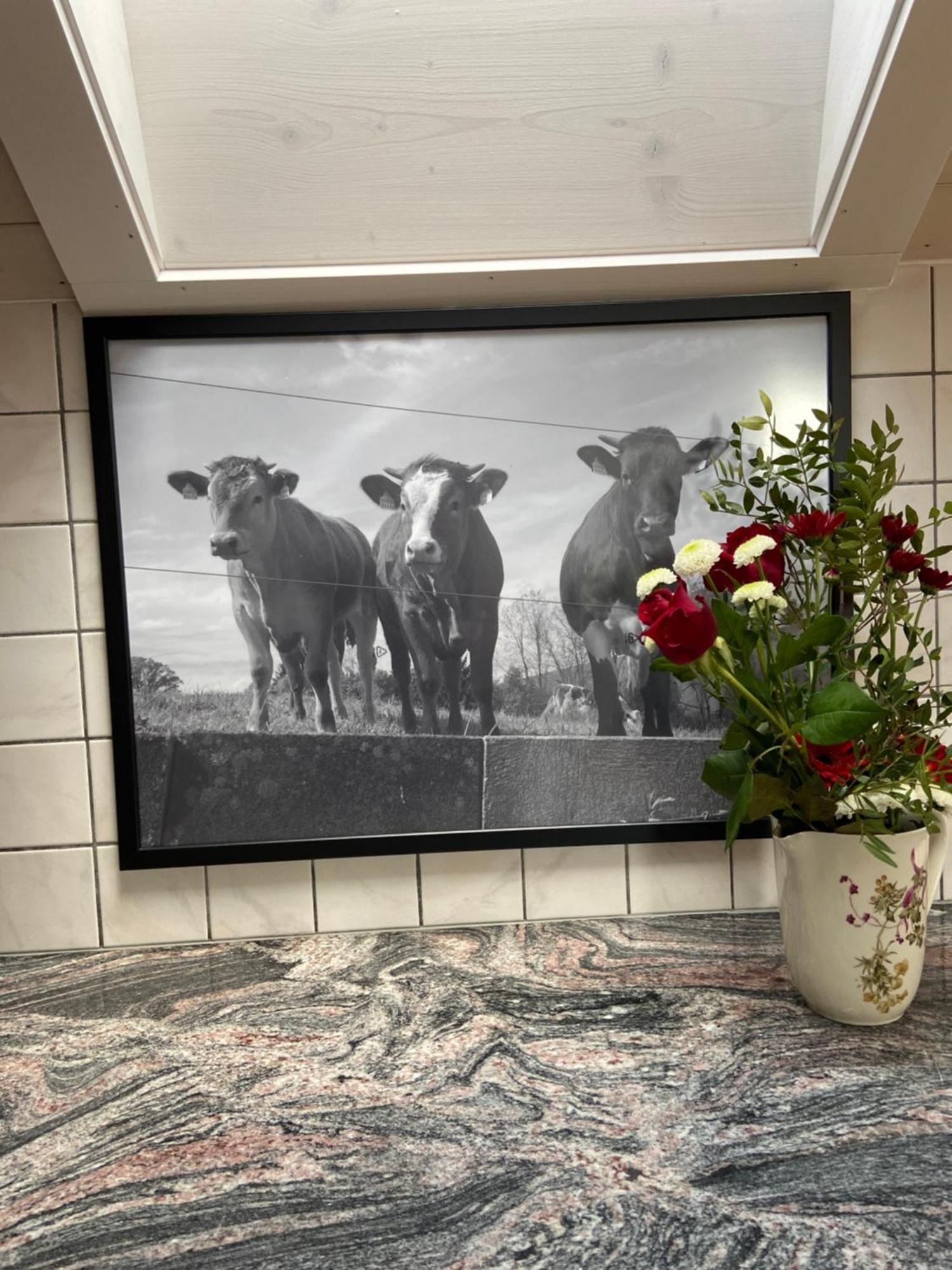 Naturnahe Familienwohnung Ruschegg Extérieur photo